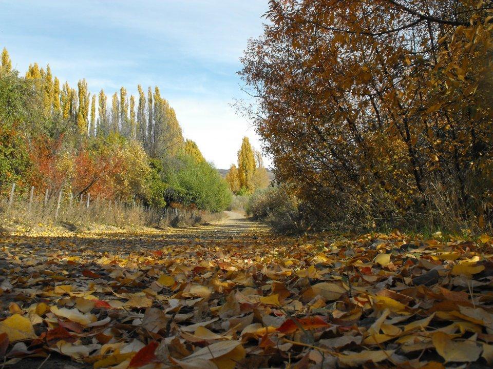 Posada De Campo La Calma Alumine Ngoại thất bức ảnh
