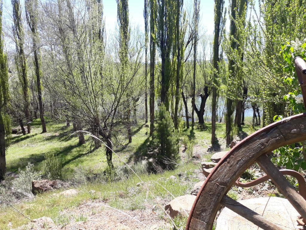 Posada De Campo La Calma Alumine Ngoại thất bức ảnh