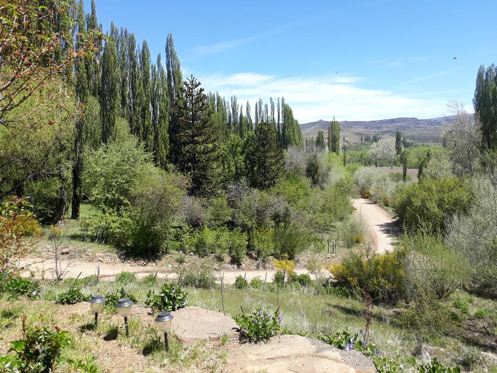 Posada De Campo La Calma Alumine Ngoại thất bức ảnh
